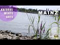 walk 4k mainz, verano 2022, orillas del rio rhein #mainzstrand #mainzcastel
