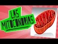 Las mitocondrias - Biología - Educatina