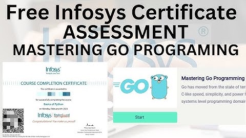 Mastering GO Programming | Infosys Springboard Assessment Solution. #infosys_springboard