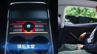 Tesla smart  physical quickbutton