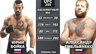 UFC БОЙ Юрий Бойка vs Александр Емельянеко