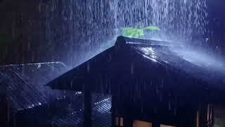 all Asleep Quickly (NO ADS) Heavy Rain & Thunderstorm on Tin Roof | Rain Sounds for Sleeping