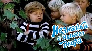 Незнайка с нашего двора  -  песни из фильма