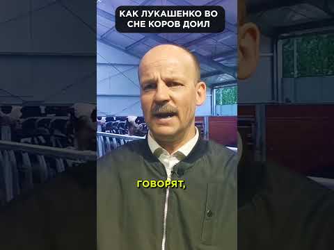 ЛУКАШЕНКО: 'Я коров всю ночь ДОЮ' 😉 #shorts