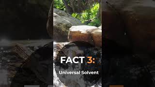 3 QUICK FACTS ABOUT WATER