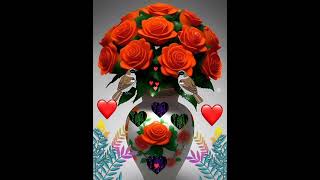 Mevlid Kandili Mesajlarıresimlien Yeni Mevlid Kandili Duası Seslimevlid Kandili Videoları