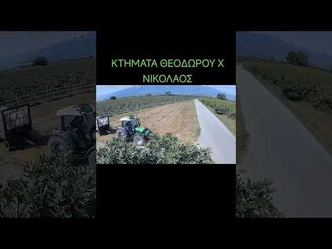 ΚΤΗΜΑΤΑ ΘΕΟΔΩΡΟΥ Χ