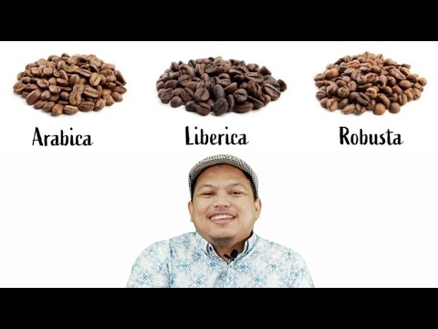 Arabica, Robusta dan Liberica