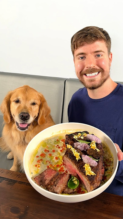 Feeding A Dog $1 vs $10,000 Steak