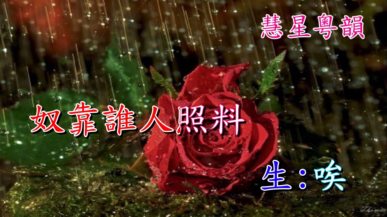 風雨斷腸花楊凱帆張琴思 Youtube 風雨斷腸花楊凱帆張琴思 Youtube