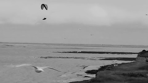 FPV Drone Chasing a Paraglider Over French Cliffs | 4K Cinematic | Monochrome Project