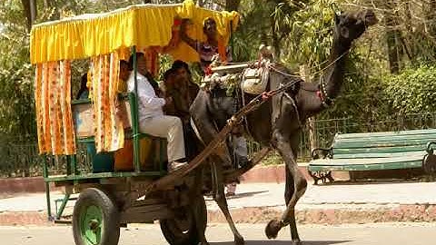 EVS  - Going to School -  In English  -  NCERT Class 4