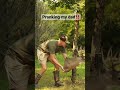 Pranking my dad feathersandfins deerhunting prank