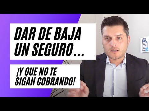 Video: Clases de Office: A, B, C. Características detalladas y diferencias