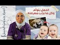 لو بتتمني توأم .. الحمل هيكون مختلف ب ١٠ حاجات .. جهزي نفسك و استعدي صح |د. ريهام الشال