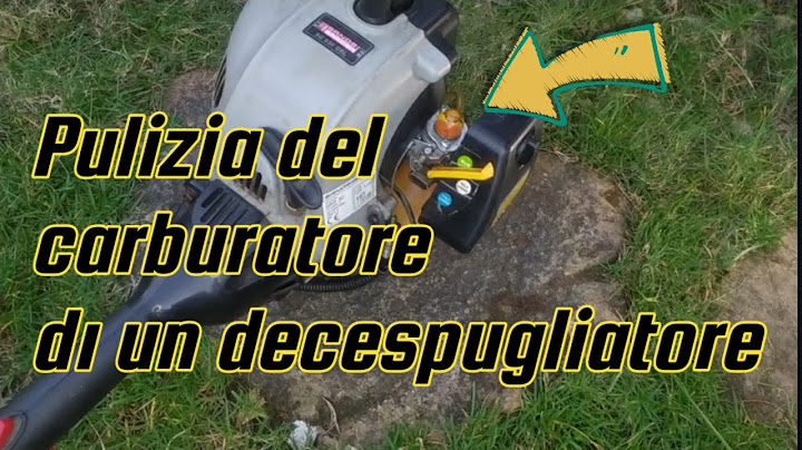 Come smontare e pulire il carburatore del decespugliatore