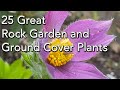 25 rock garden plants  easy  care low growing plants and ground covers