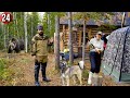 Bushcraft - 34,35 день. Рыбалка в глухой тайге. Река забита щукой. Сбор грибов. Бушкрафт по-русски