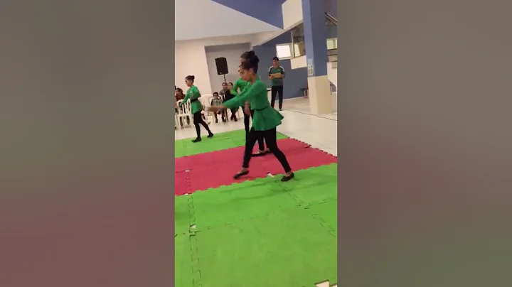 Apresentao de ginstica