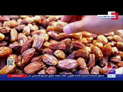 حلمنا الأخضر كل ما تريد معرفته عن مشروع توشكى بجنوب الوادي