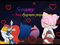 "Sonamy"Соник и Эми-будущие родители" 6 серия "Результаты внутри"