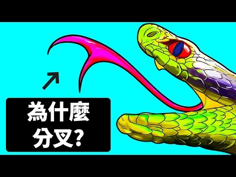 為什麼蛇有分叉的舌頭