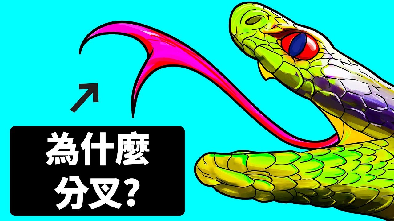 领略摄人心魄的黑暗