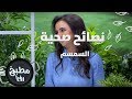 السمسم د ربى مشربش نصائح صحية