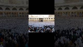 Мусульманские страны #исламскаямудрость #ислам #знание #islam #islamknowledge #shorts #shortvideo