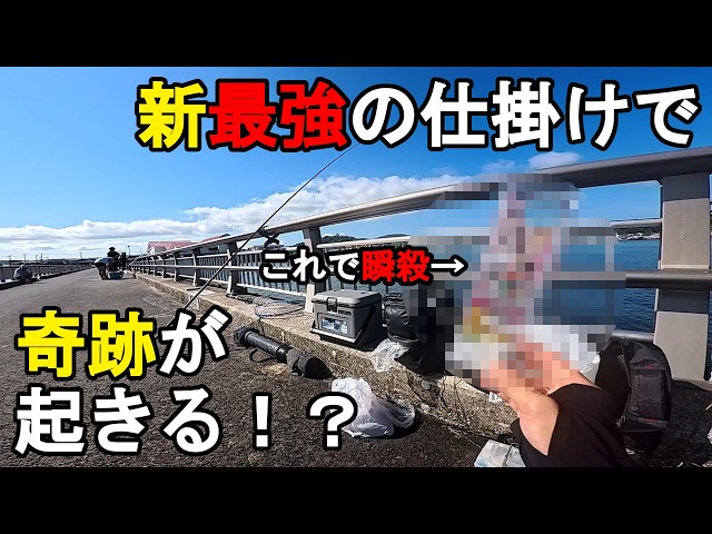 【千葉県某所】新最強の仕掛けで奇跡が起きる！？開始5分でまさかの瞬殺！初夏の時期に関東地方の房総半島にある東京湾側に面している内房の釣り場でサビキ釣りと泳がせ釣りをしてみたら…！【2026年7月中旬】