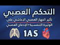 تأثير الجهاز العصبي الاعاشي على الوتيرة التنفسية الإدماج العصبي التحكم العصبي شرح ممتع و مبسط 
