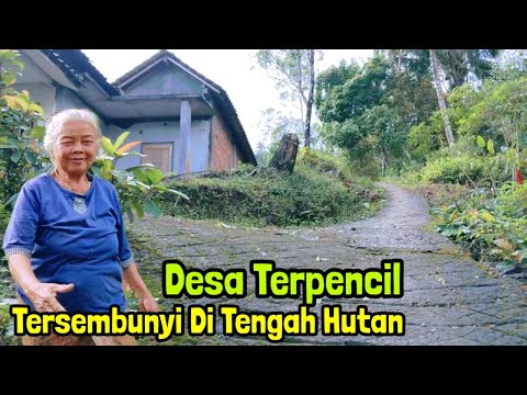 Desa Terpencil Tersembunyi di Tengah Hutan, Pedalaman Trenggalek Jawa Timur