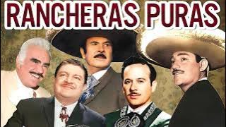 VICENTE FERNANDEZ, JAVIER SOLIS, JOSE ALFREDO JIMENEZ, CORNELIO REYNA - RANCHERAS MEXICANAS