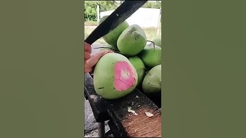 Thumbnail of Buat Buka puasa, Jangan lupa minum Kelapa muda Camani ‼️🤭😍 Merah Muda 😍😍