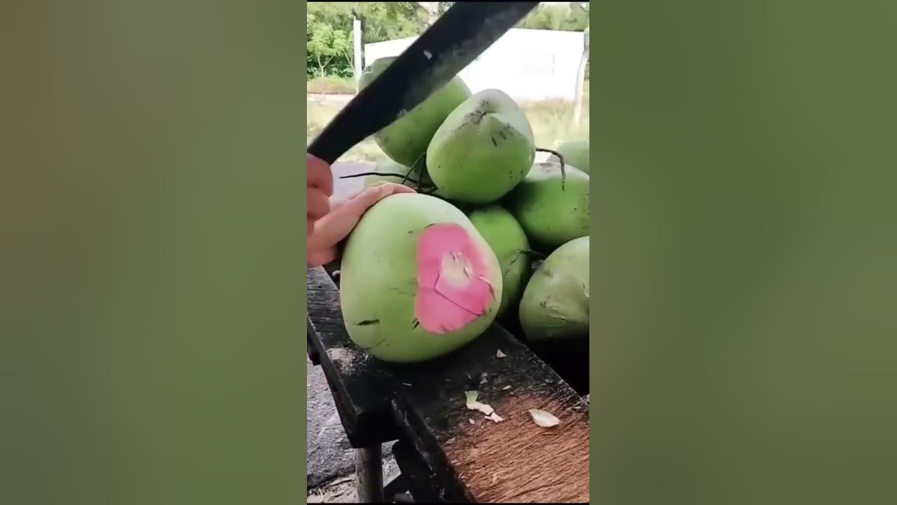 Buat Buka puasa, Jangan lupa minum Kelapa muda Camani βΌοΈπ€π Merah Muda ππ Buat Buka puasa, Jangan lupa minum Kelapa muda Camani βΌοΈπ€π Merah Muda ππ