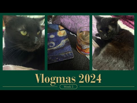 Vlogmas Week 5
