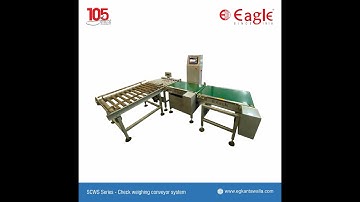 Conveyor Check Weighing System - Trial Video