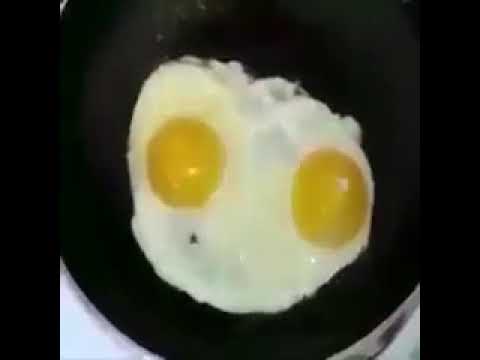 البيض يغني