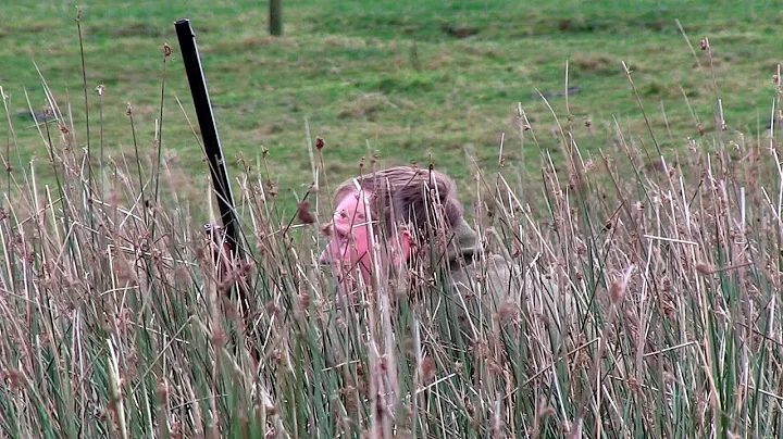 The Shooting Show -- border rough shoot and Irish sika