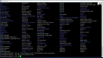 CentOS 8 - Bind DNS - Internal Zone, IPv6, External Zone, CNAME and Slave