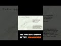 What Is Titration in Somatic Work? #substack #shorts