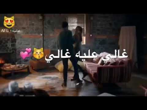 ماكو بغلاتك انت غالي عليا غالي مزاد حياة