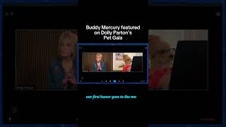 Dolly Parton Introduces Buddy Mercury At Her Pet Gala! #Buddymercury #Dollyparton #Dog #Shorts