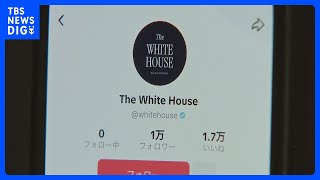 ホワイトハウスがTikTok公式アカウントを開設｜TBS NEWS DIG