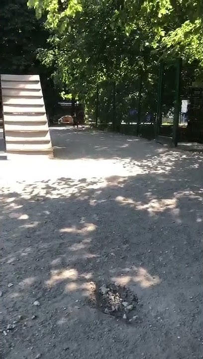 youtube.com