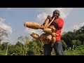 Le manioc : 700. 000.000$, la technique de production.