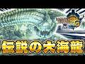 伝説の古龍『ナバルデウス』を知っていますか？【モンハン3G】#9