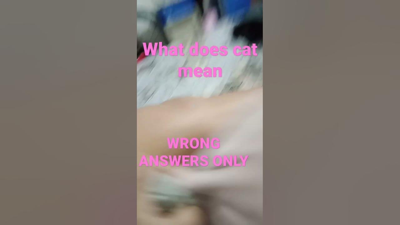 what-does-cat-mean-wrong-answers-only-cat-shorts-cats-youtube