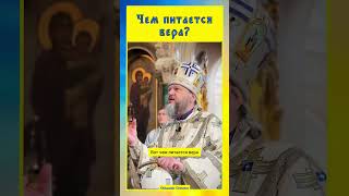 ☦️ Чем питается вера? — #словоПроповеди