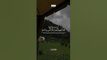 سورة طه | #allah #القرآن_الكريم #القران_الكريم #الله #explore #foryou #fy #اكسبلور #محمد_ايوب